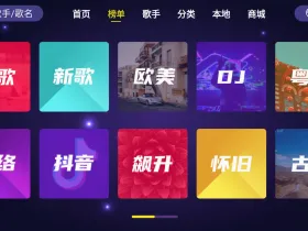 Home KTV 家庭KTV ： 在家就可以K歌的APP