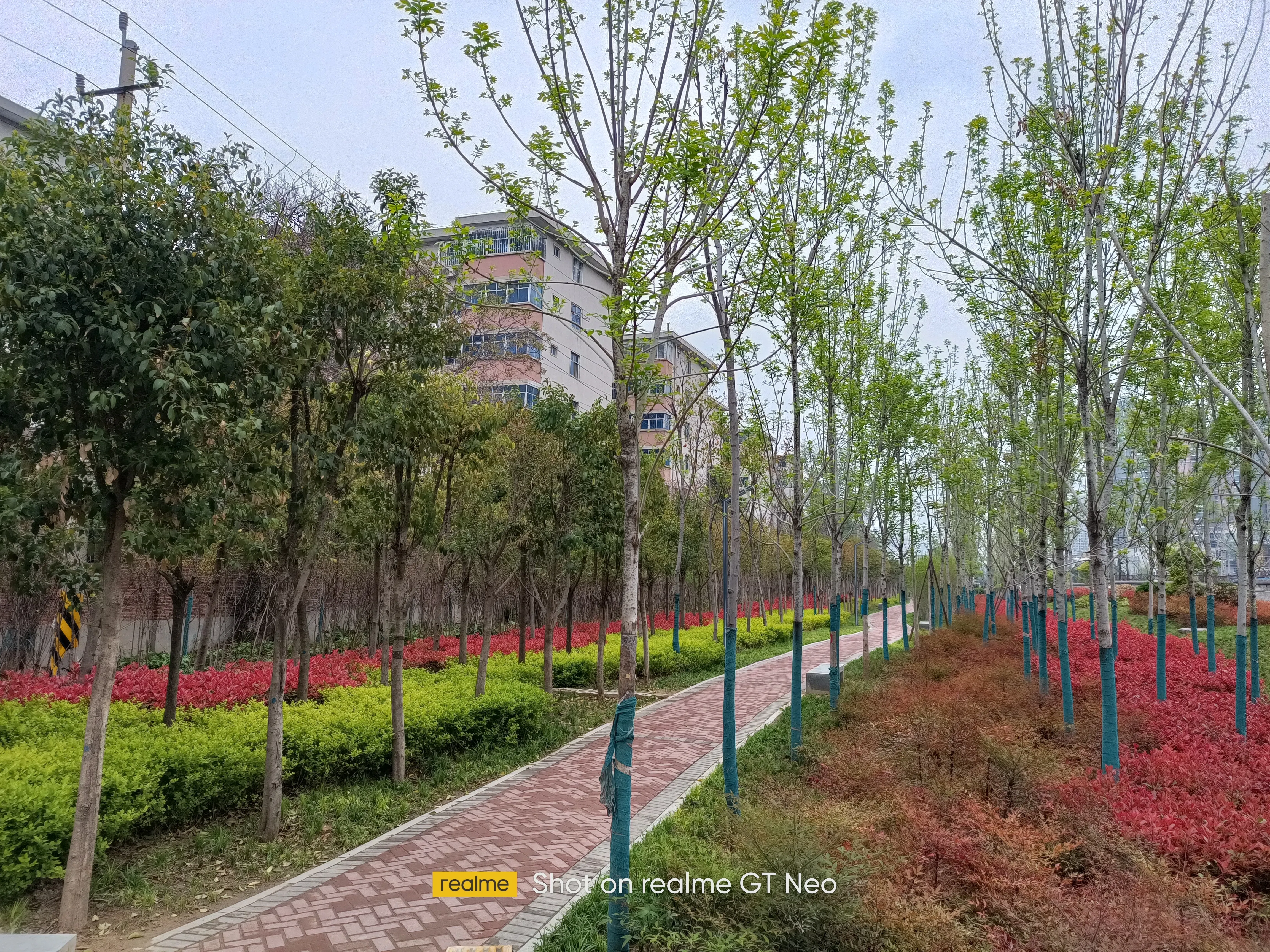 Realme GT Neo