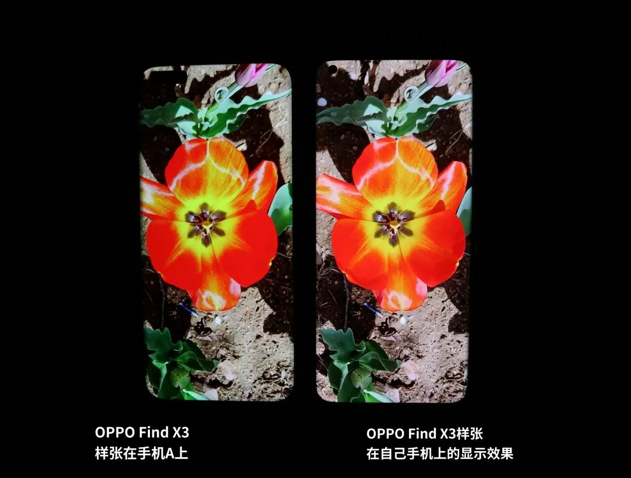 OPPO E ITEHIA te X3