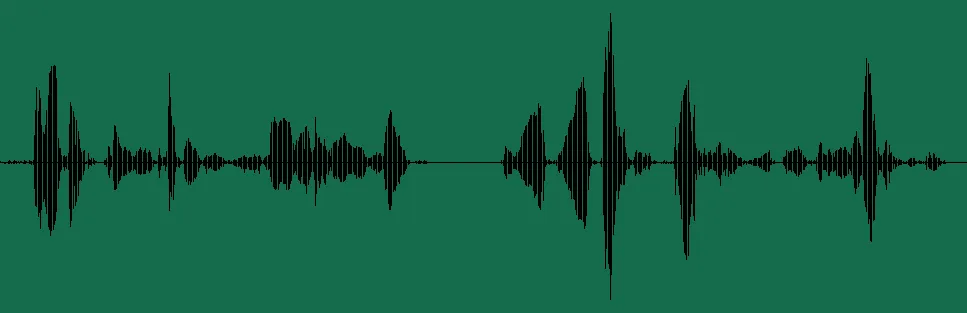 HONOR-Ohrstöpsel 2 SE Noise Cancelling-Kopfhörer im Test