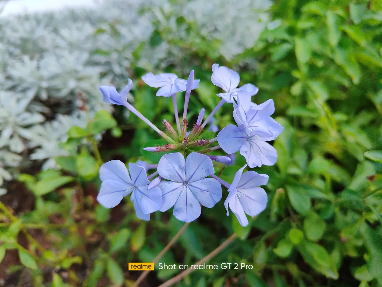 Realme Realme GT2 Pro အသေးစိတ်သုံးသပ်ချက်