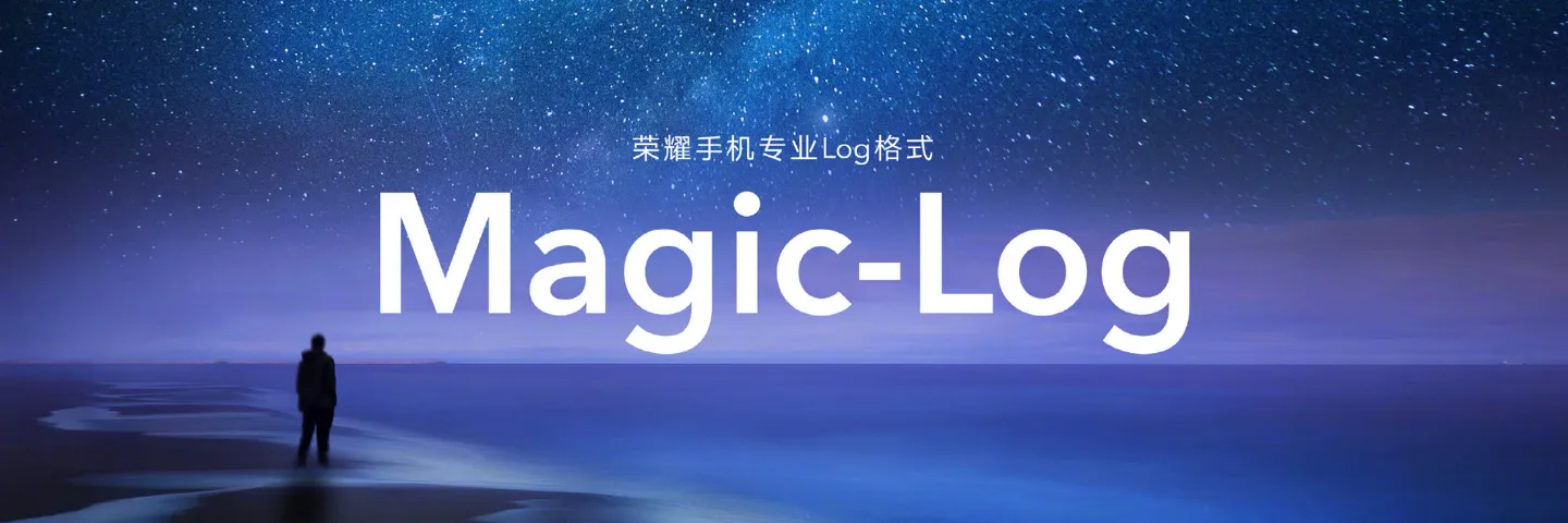 Magic-Log Video Format